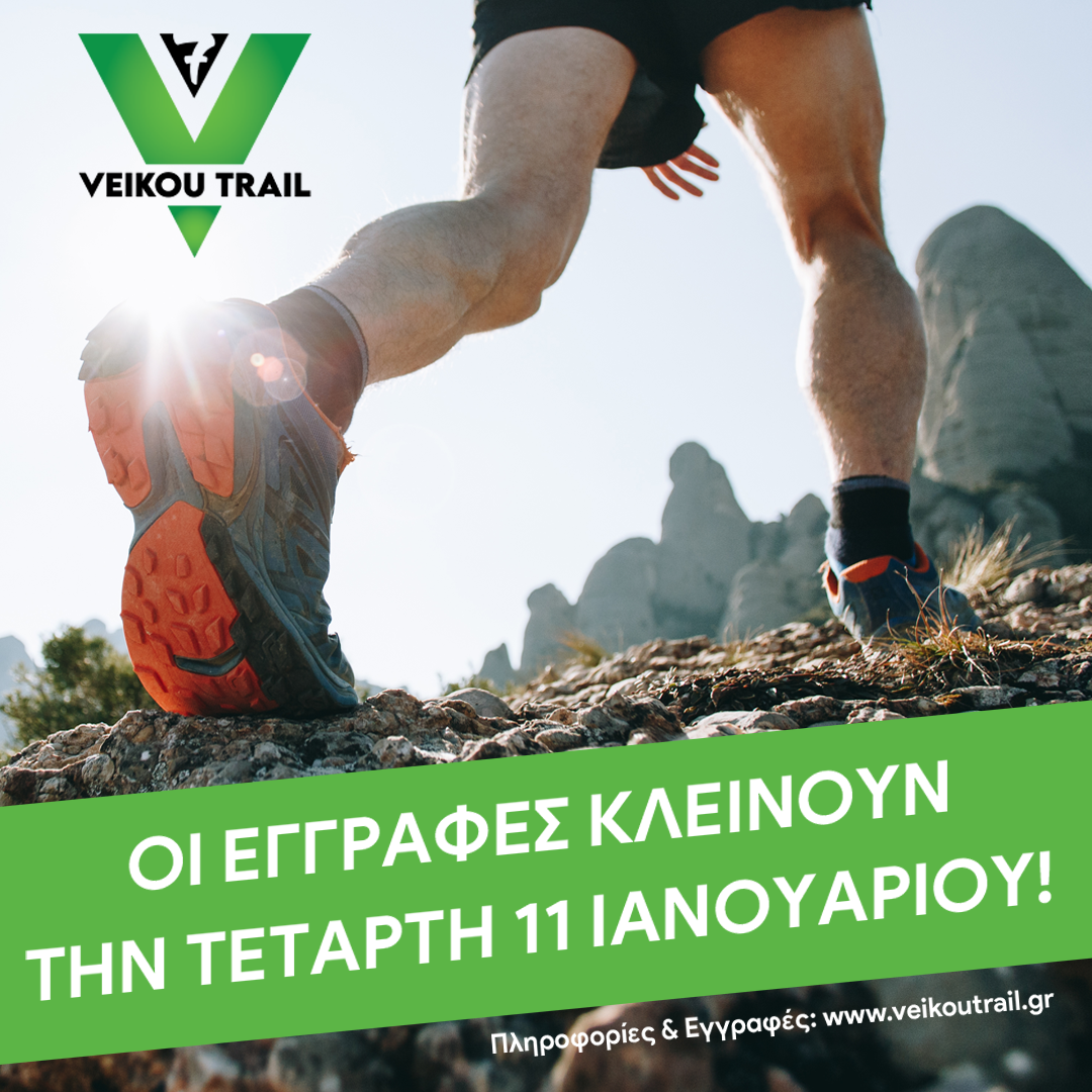 article-image